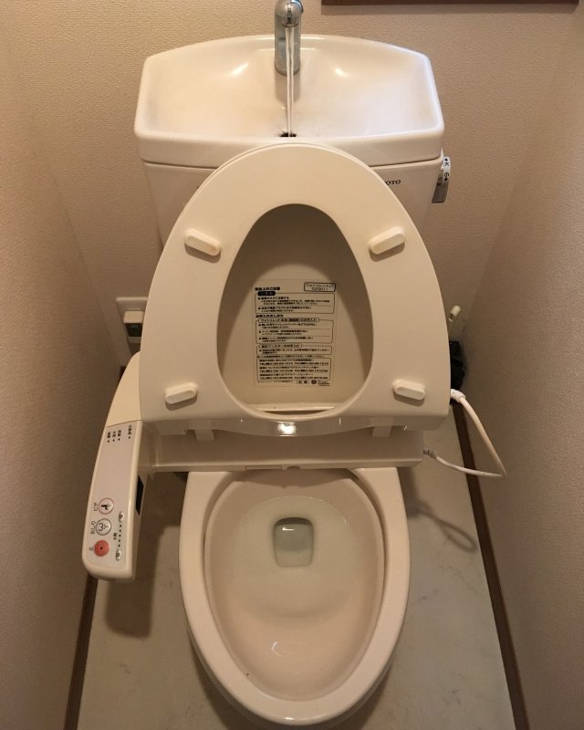 【水のトラブル】トイレの詰まり除去作業③の画像